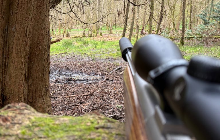 Stalker's view through a Sussex woodland clearing with rifle scope and barrel in the foreground