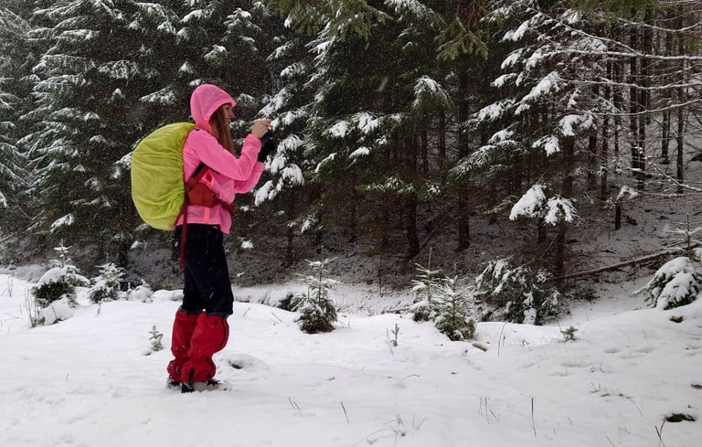 traseu spre refugiul gainatul