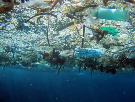 Floating marine debris and microplastics in the Pacific Ocean