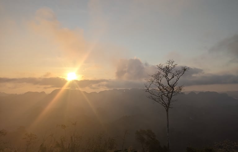 Doï Tapang, Sawi Chumphon