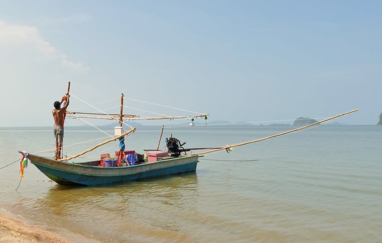 TongTom, Sawi Chumphon