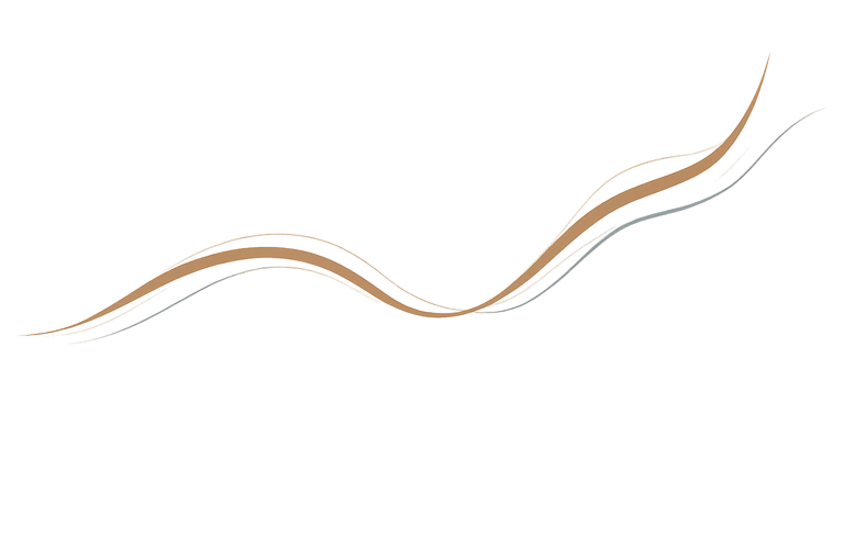 Fluxo ilustrativo de evolução Áureas Consulting