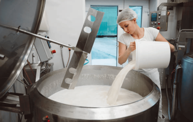 Fabrication du fromage