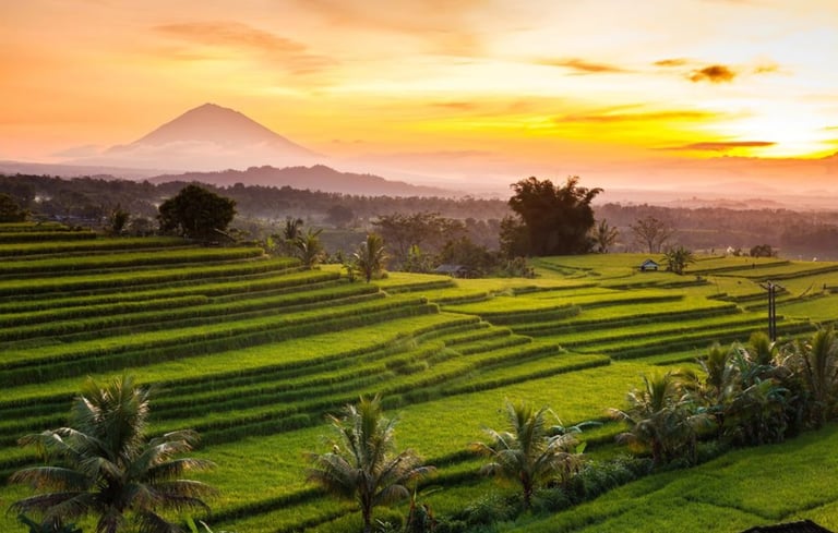 Jatiluwih Bali