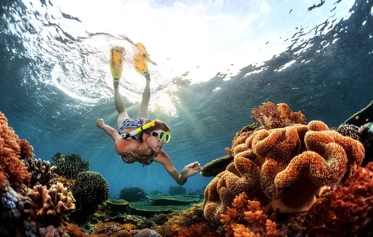Menjangan Island Snorkeling