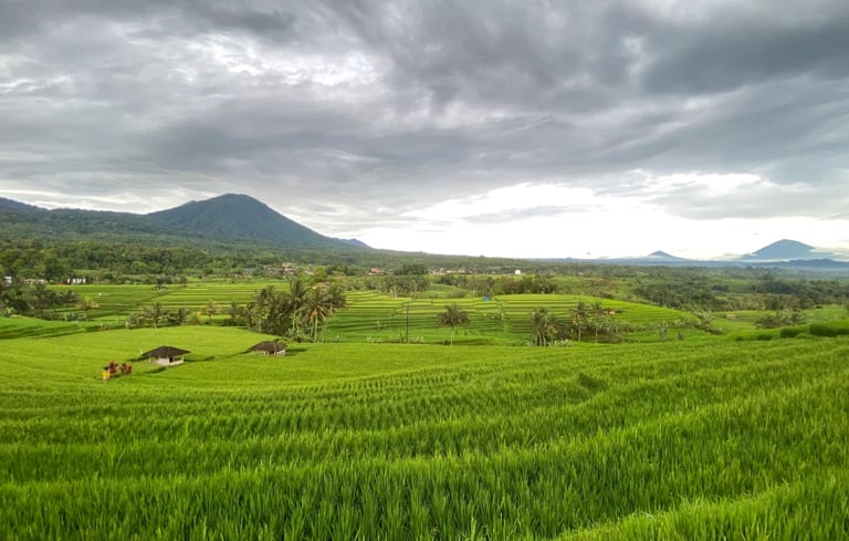 Jatiluwih Bali