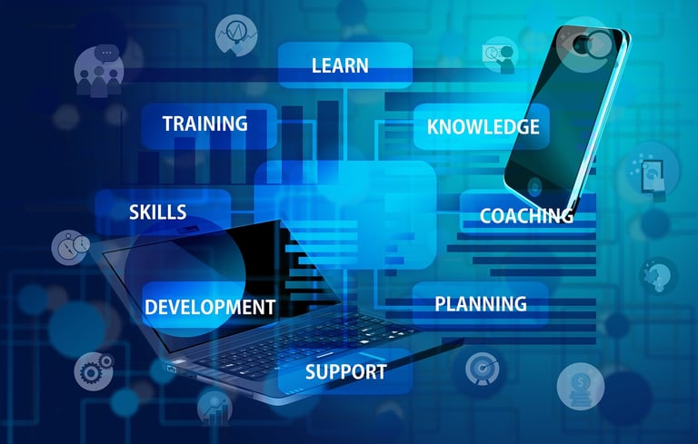 Leadership mentoring