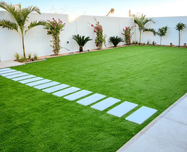 mexican lawn grass suppliers Hyderabad