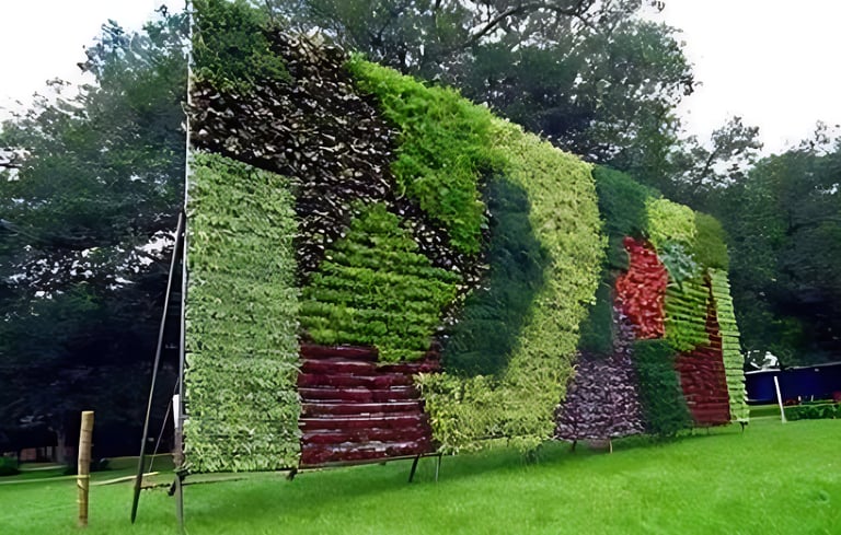 lawn grass supplier Hyderabad