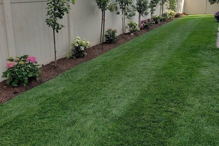 lawn grass installation in Rajahmundry