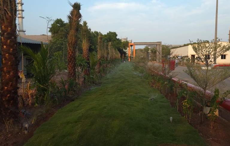 lawn grass suppliers Kadiyam