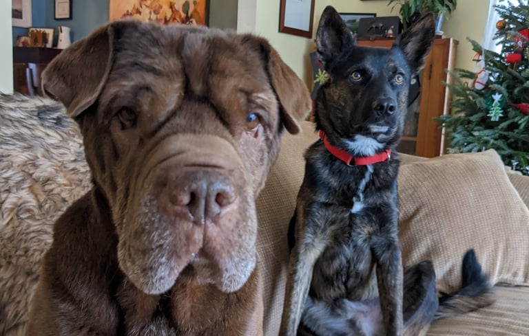 Leon (RIP) and Bruce Willis circa 2021