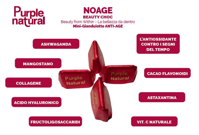 Cioccolatino con Antiossidanti NOAGE e BRAIN SupportE