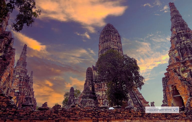 Viajes Bojórquez Oficial