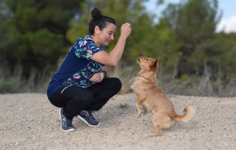 Veterinario a domicilio en Murcia, Cartagena, Mar Menor, Ect