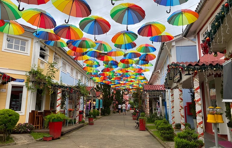 Penedo, em Itatiaia (RJ), tem a maior colônia finlandesa do Brasil