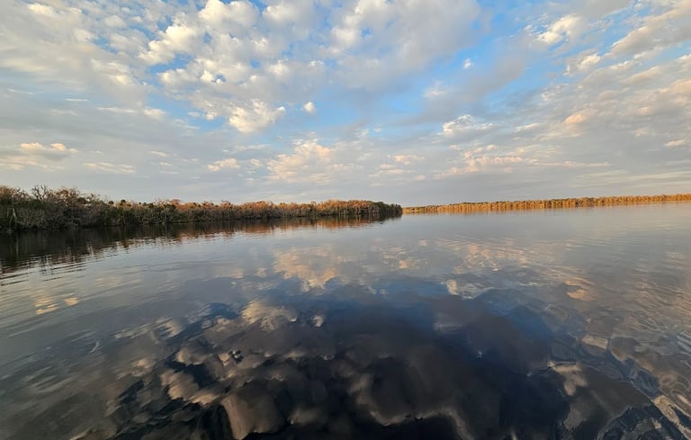 Waterscape St. Johns River, Lake George, Florida