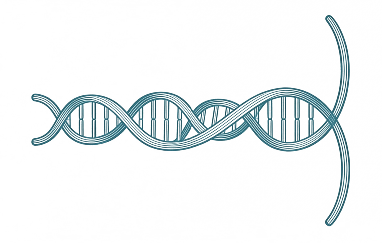 DNA helix icon and lineage connection - PhotoMotion AI