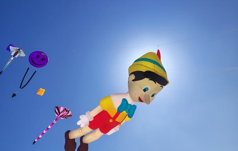 kites flying in the sky