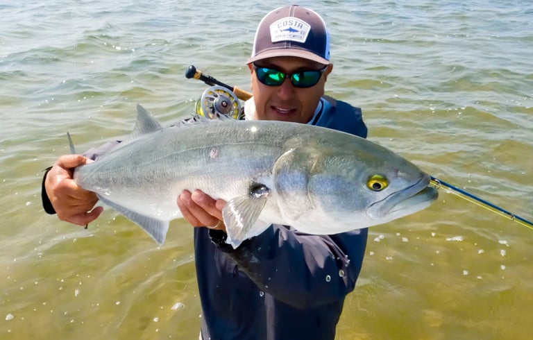 Bluefish on the fly