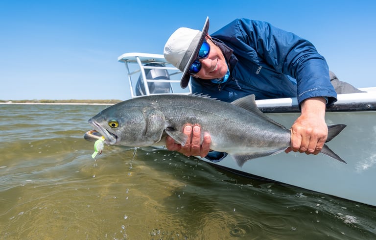 Bluefish on the fly