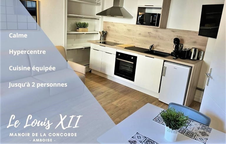 studio à Amboise en Indre-et-Loire