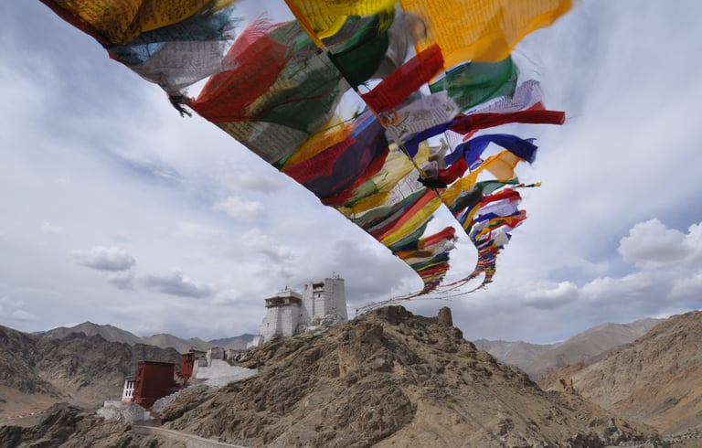 monastery in Leh along the Leh to Manali highway over the great Himalayan range, Ladakh, India 