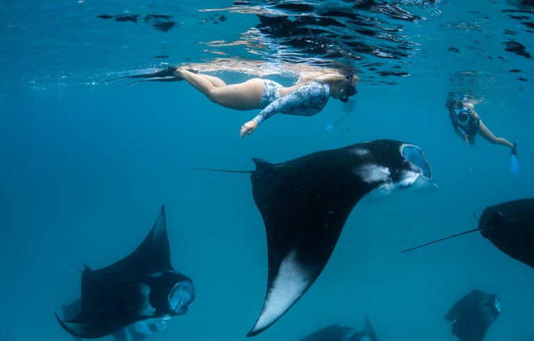 manta discovery snorkel combo ukulhas