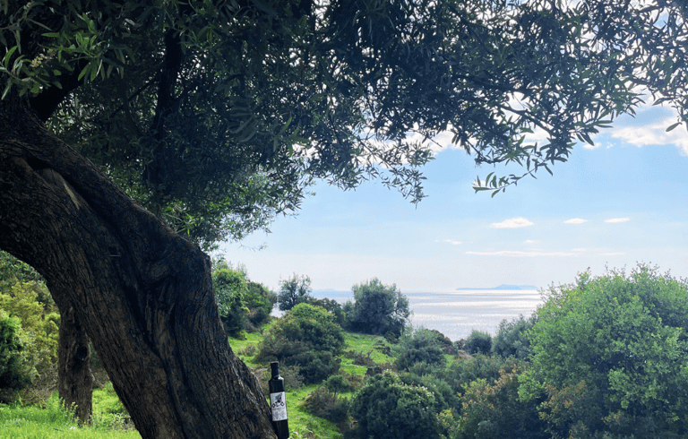 Despre Oloi ulei de măsline extra virgin Grecia