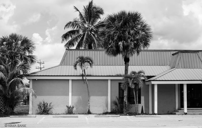 an old abandoned store and some palm trees in everglades city florida