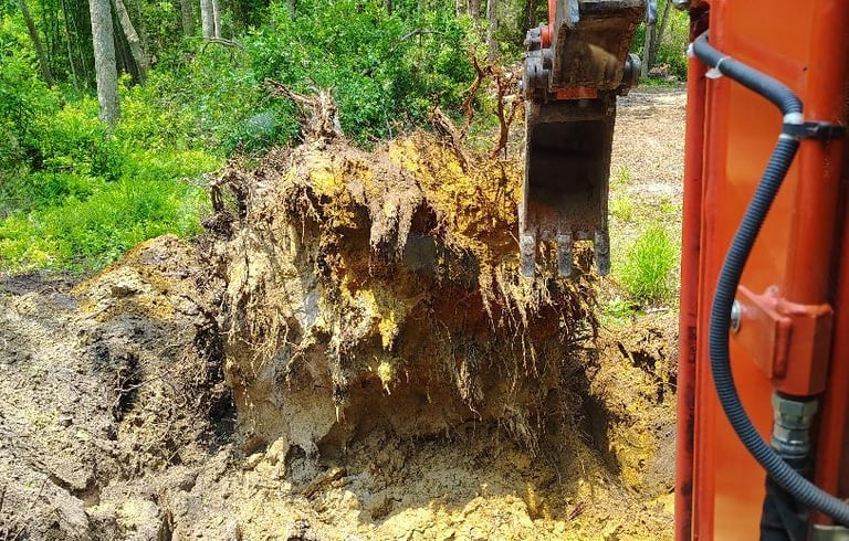 stump removal