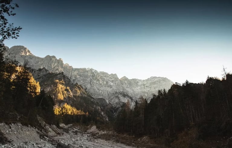 left and right dark forest with snowy mountains in the middle of the picture