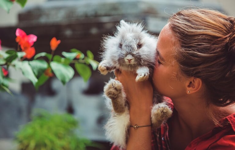 a woman holding a kitten kitten kitten kitten kitten kitten kitten kitten kitten kitten kitten kitten