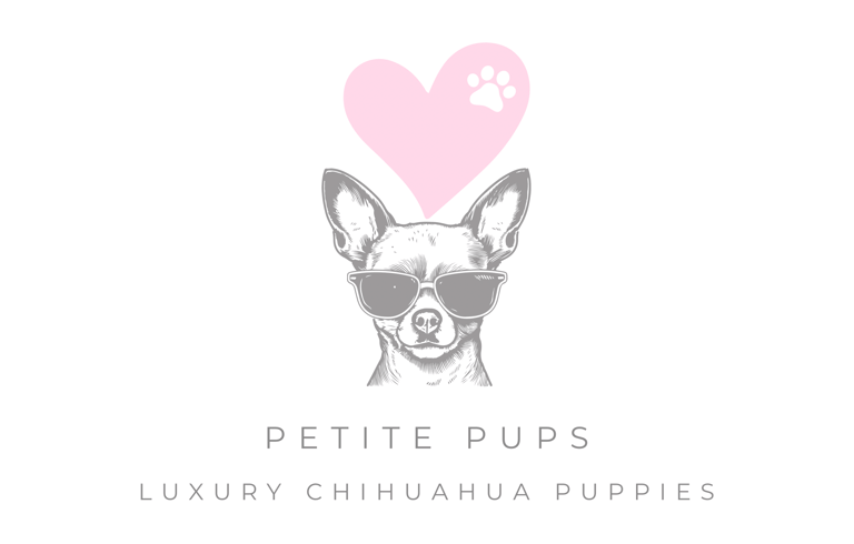 Petite Pups | Luxury Chihuahua Puppies For Sale in New York | PetitePups.com