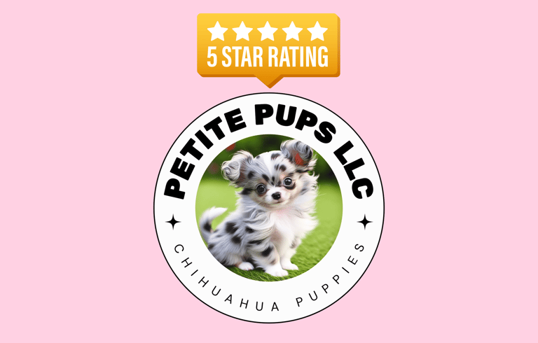 Petite Pups - Merle Chihuahua Puppies For Sale