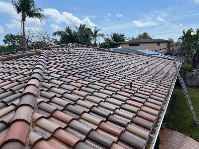 roof sealing services