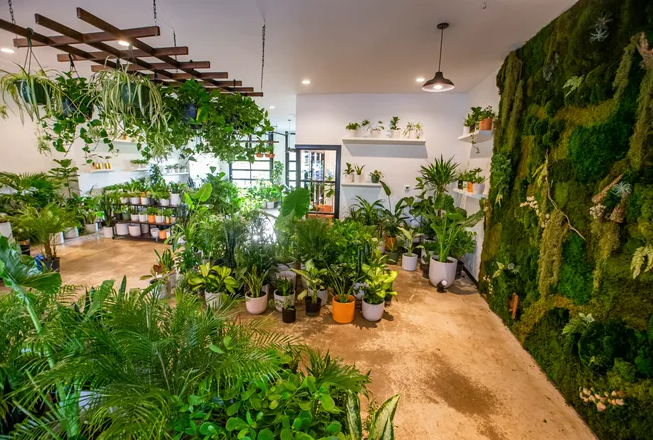 Nursery in Visakhapatnam