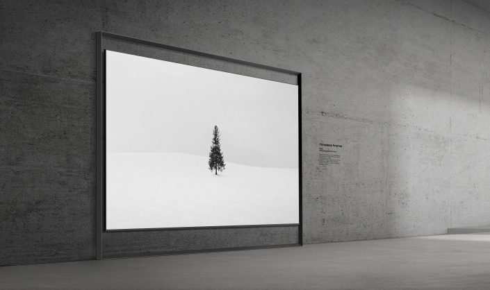 TV-Micro-RGB-de-13022-TimelessFrame