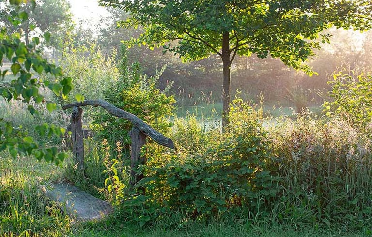 Fotos von Naturgärten