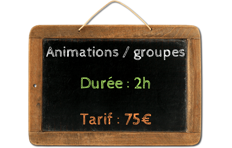 animations groupes de parole