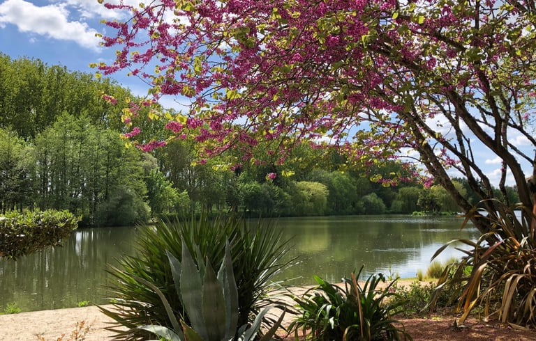 Domaine de Beaucé, Ligné, thérapie, thérapeute, Gestalt, psy, psychothérapie, psychothérapeute