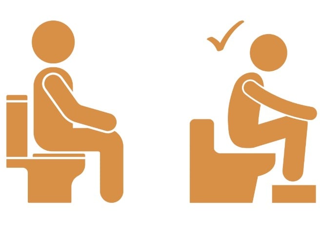 Toilet posture