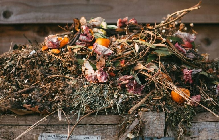a lot of great compost ingredients like eggshells, leaves and orange peels in a compost pile