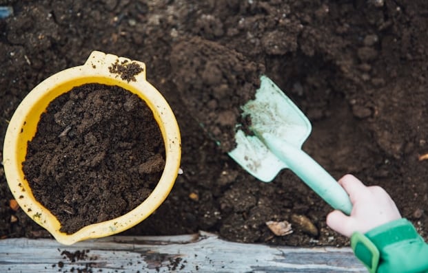 finished leaf mold compost