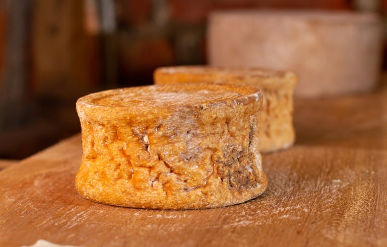 Day tour y degustacion en una quesera artesanal Pasochoa