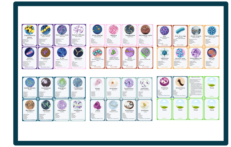 Image representant les cartes du jeu : les micro organismes en 7 familles