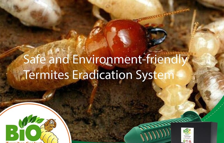 Safe and environment-friendly termite eradication system by Bio Termite Control using non-toxic bait