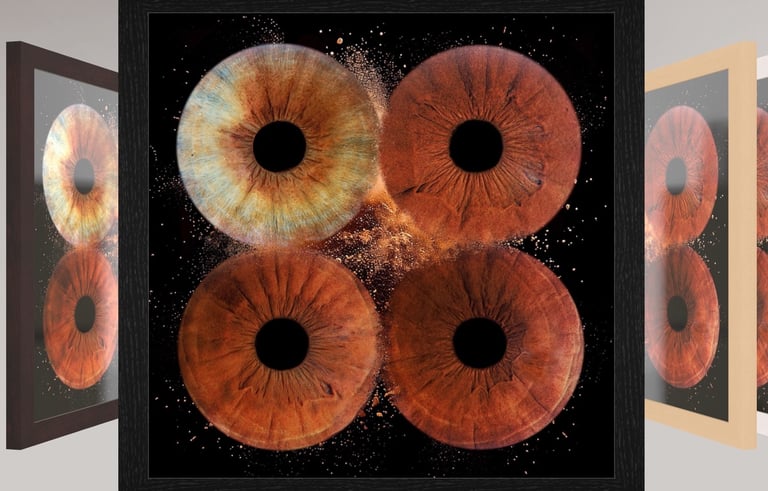 Tableau verre acrylique avec 4 iris et boite américaine