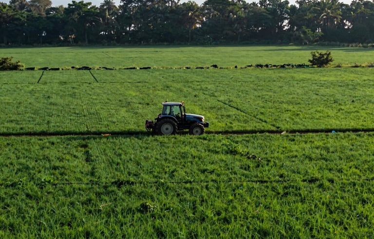A high-angle, wide-angle photography shot of expansive green agricultural fields in South Asian countryside. In the middle ground, a modern tractor is moving through tidy rows of crops. The lighting is warm morning sun, casting long shadows. Forest green and deep blue hues dominate the landscape.
