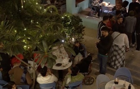 Smiling staff serving guests in a cozy, greenery-filled outdoor cafe